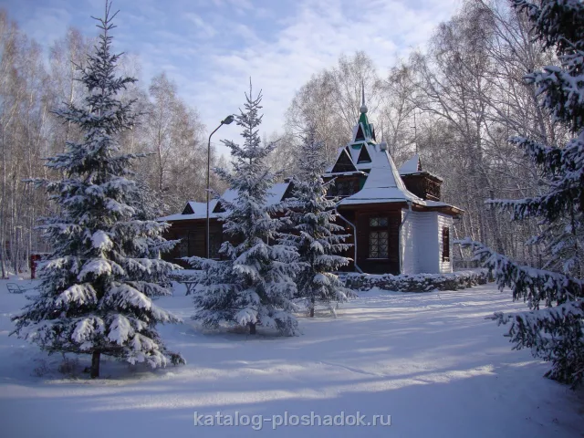 База отдыха «Родничок», загородная площадка, Омск — фото 3