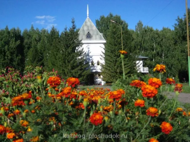 База отдыха «Родничок», загородная площадка, Омск — фото 6