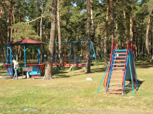 Стрельникова, загородная площадка, Омск