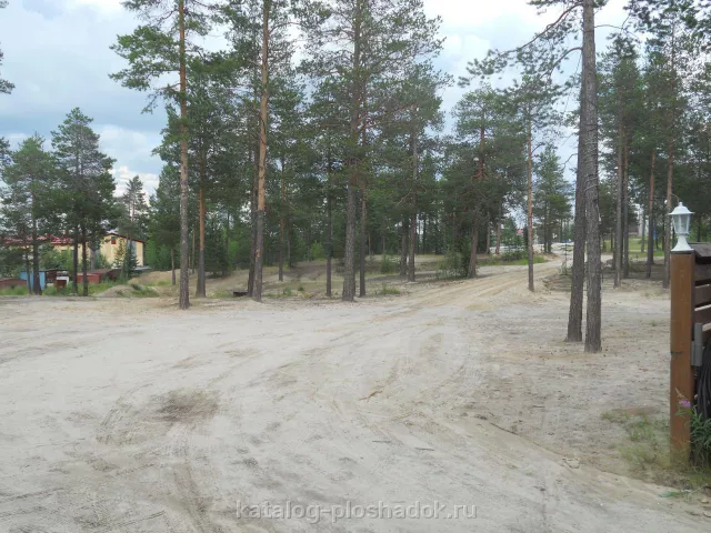 Белая гора. Ноябрьск, зал в отеле