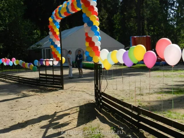 Forest Camp, загородная площадка, Санкт-Петербург