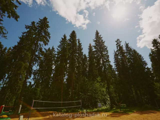 Forest Camp, загородная площадка, Санкт-Петербург — фото 2