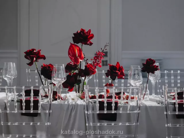 Palmira Garden — Екатерининский зал, загородная площадка, Москва — фото 5