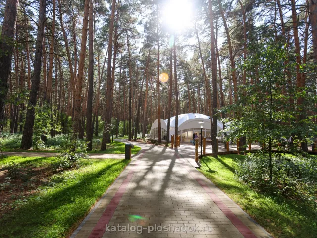 Парк-отель «Мечта» — шатёр, загородная площадка, Омск — фото 5