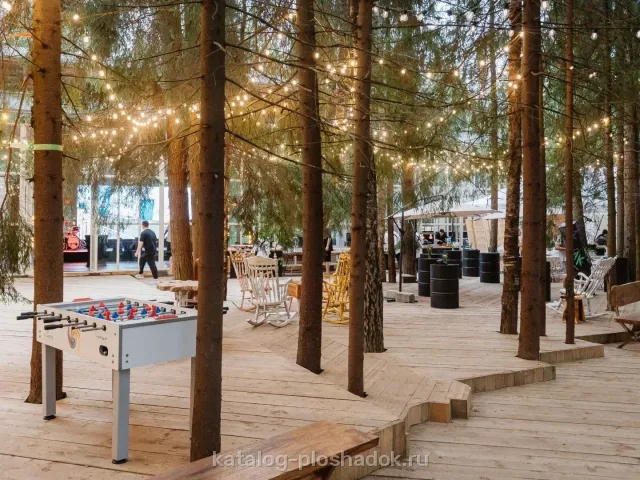 LOFT HALL THE BIRCH — Mahogany Terrace, загородная площадка, Москва — фото 7