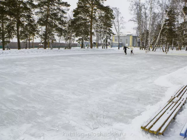 База отдыха им. А. И. Покрышкина, загородная площадка, Омск — фото 4