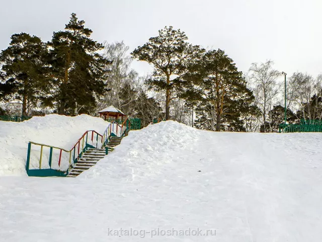 База отдыха им. А. И. Покрышкина, загородная площадка, Омск — фото 5