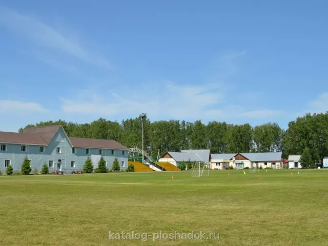 База отдыха «Альпийская деревня», загородная площадка, Омск — фото 4