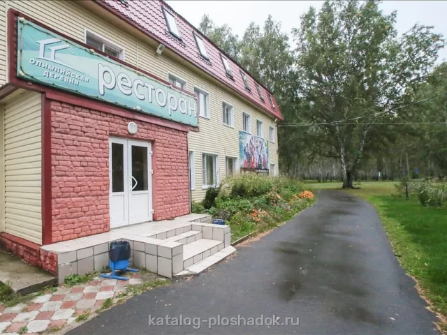 База отдыха «Альпийская деревня», загородная площадка, Омск — фото 7