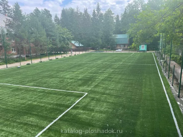 Парк-отель «Покровское», спортивная площадка, Москва — фото 7