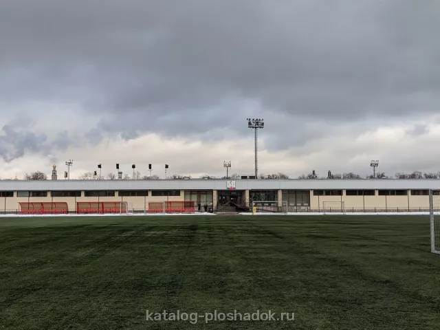 Спорткомплекс «Лужники», спортивная площадка, Москва — фото 5