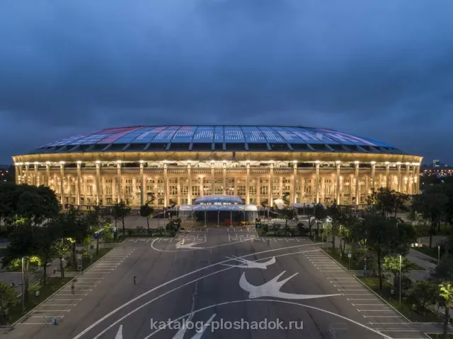 Спорткомплекс «Лужники», спортивная площадка, Москва — фото 7