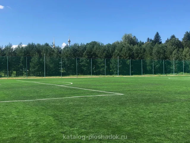 Парк-отель «Огниково», спортивная площадка, Москва — фото 6