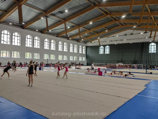 Парк-отель «Огниково», спортивная площадка, Москва — фото 7