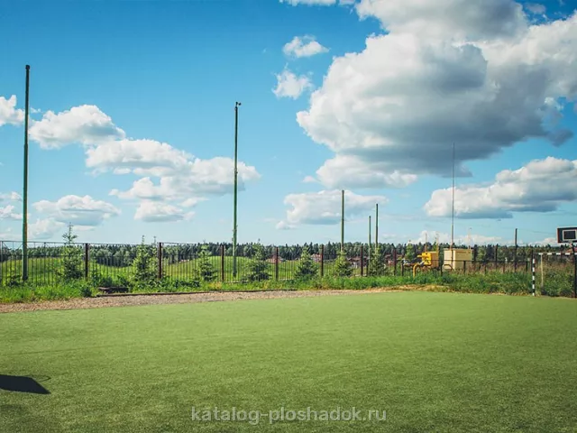Dmitrov Golf Resort, спортивная площадка, Москва — фото 5