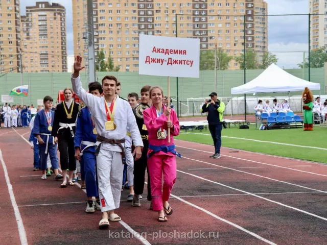 ФСК «Салют», спортивная площадка, Москва — фото 4