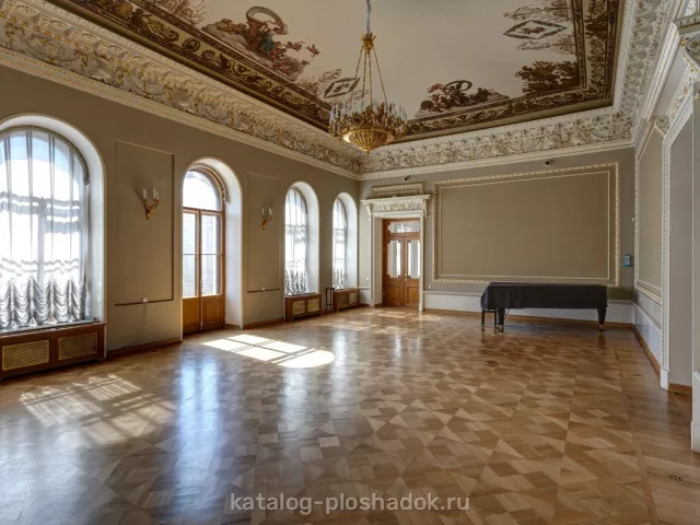 Особняк Сухозанета, конференц-зал, Санкт-Петербург — фото 5