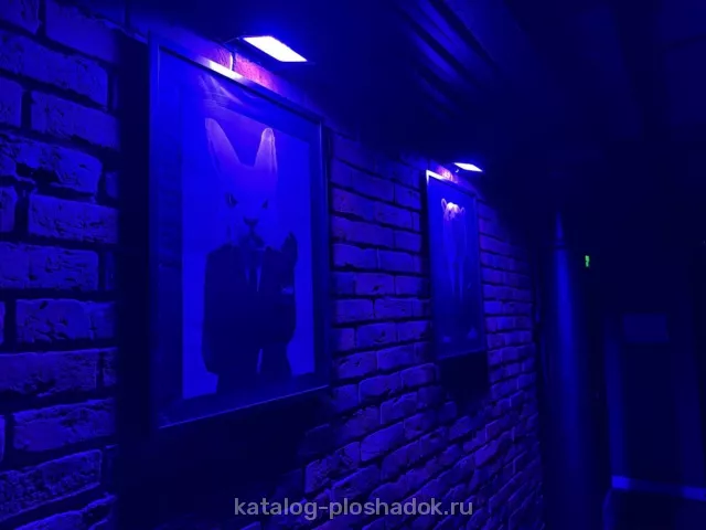 Сеть лофтов Изнанка — Лофт Кастл, Москва — фото 4