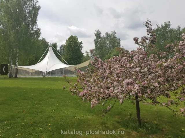Loftgreen — Шатер «ЭльГунна», летняя площадка, Москва — фото 5