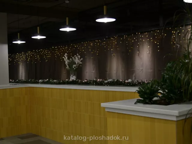Olivka Loft, конференц-зал, Москва — фото 6