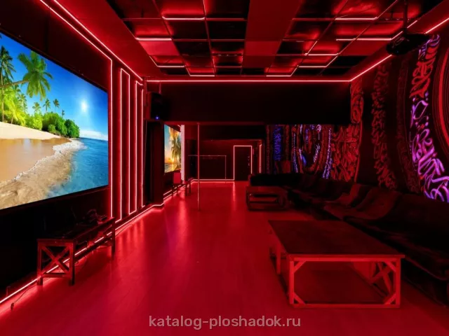 LOFT FOR PARTY — Cyberpunk loft, лофт, Москва — фото 6