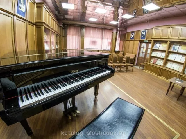 Библиотека №17 — Музыкальная гостиная, зал, Москва — фото 4