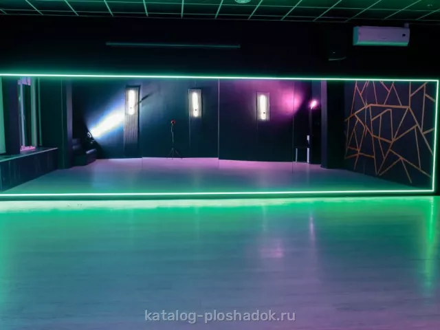 VIVA DANCE — BLACK GOLD, зал, Москва — фото 3