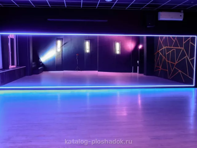 VIVA DANCE — BLACK GOLD, зал, Москва — фото 4