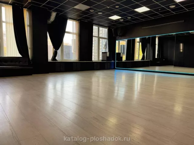 VIVA DANCE — BLACK GOLD, зал, Москва — фото 5