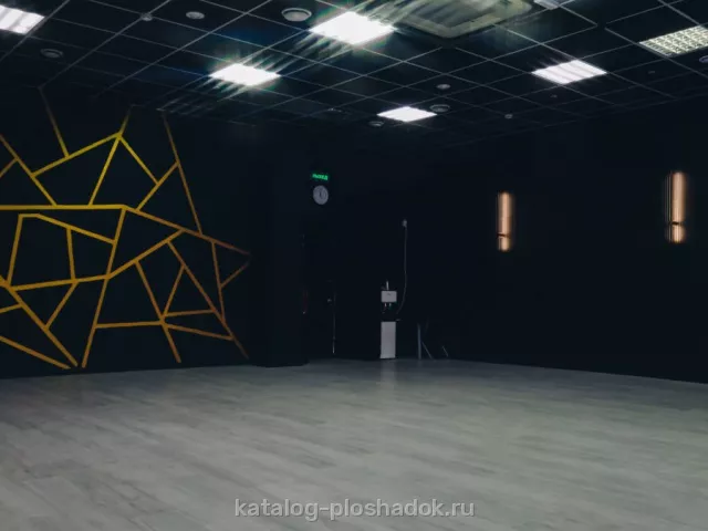 VIVA DANCE — BLACK GOLD, зал, Москва — фото 6
