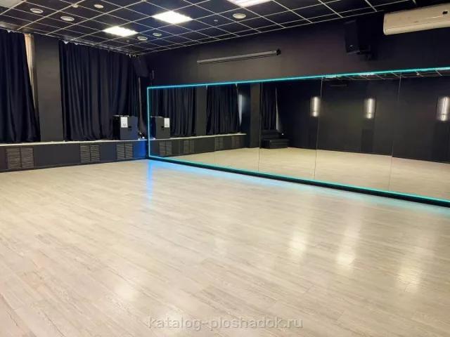 VIVA DANCE — BLACK GOLD, зал, Москва — фото 7