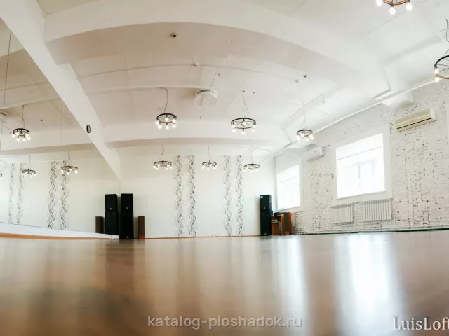 Luis Loft — Бозе, зал, Москва — фото 2