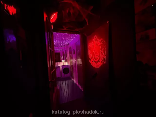 Хондэ — Шалость удалась кафе по Гарри Поттеру, банкетный зал, Москва — фото 3