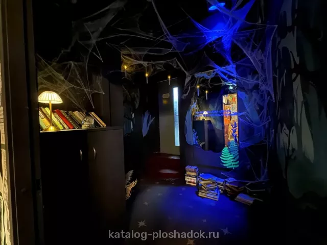 Хондэ — Шалость удалась кафе по Гарри Поттеру, банкетный зал, Москва — фото 4