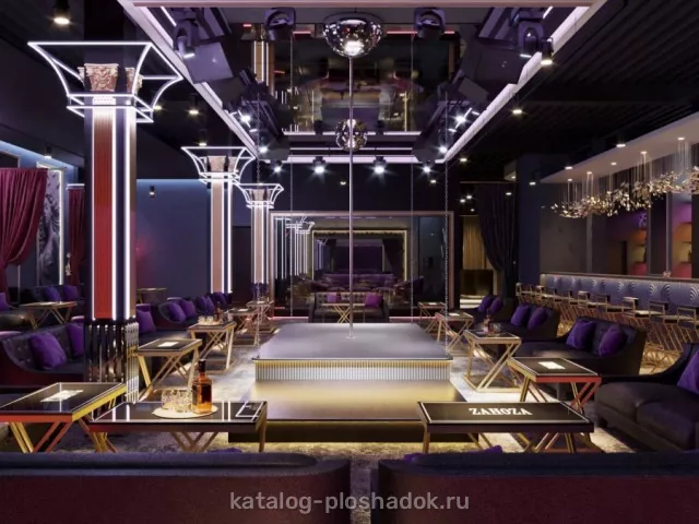 Ночной клуб ZANOZA, концертная площадка, Москва — фото 5