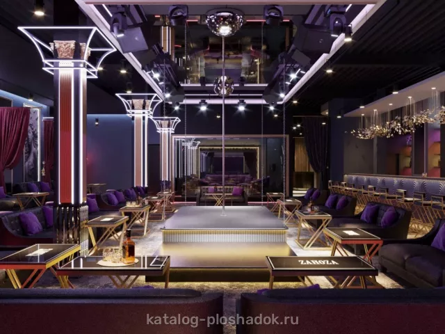 Ночной клуб ZANOZA, концертная площадка, Москва — фото 7