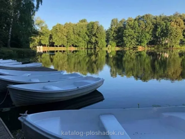 Усадьба Остафьево, загородная площадка, Москва — фото 3
