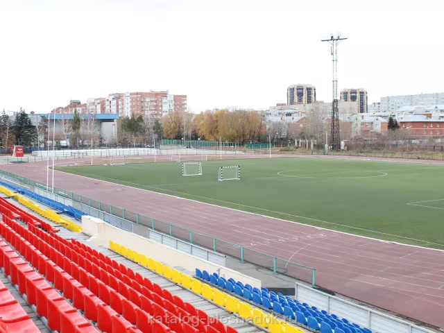 ФОК «Авангард» — стадион и спортпавильон, спортивная площадка, Омск