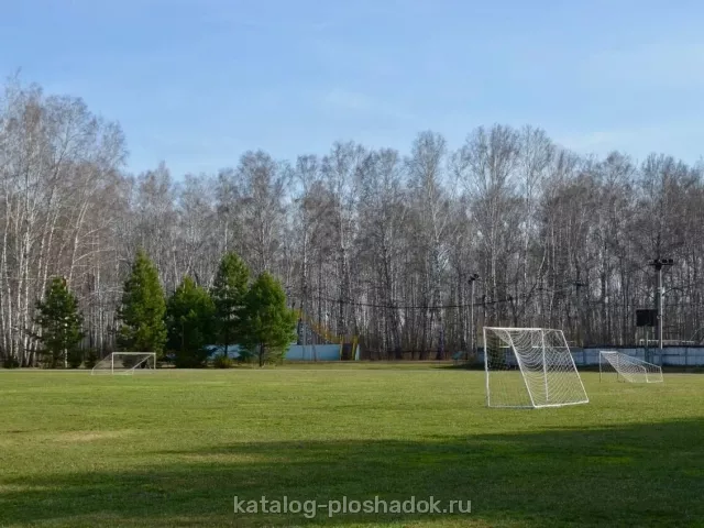 База отдыха «Альпийская деревня», загородная площадка, Омск
