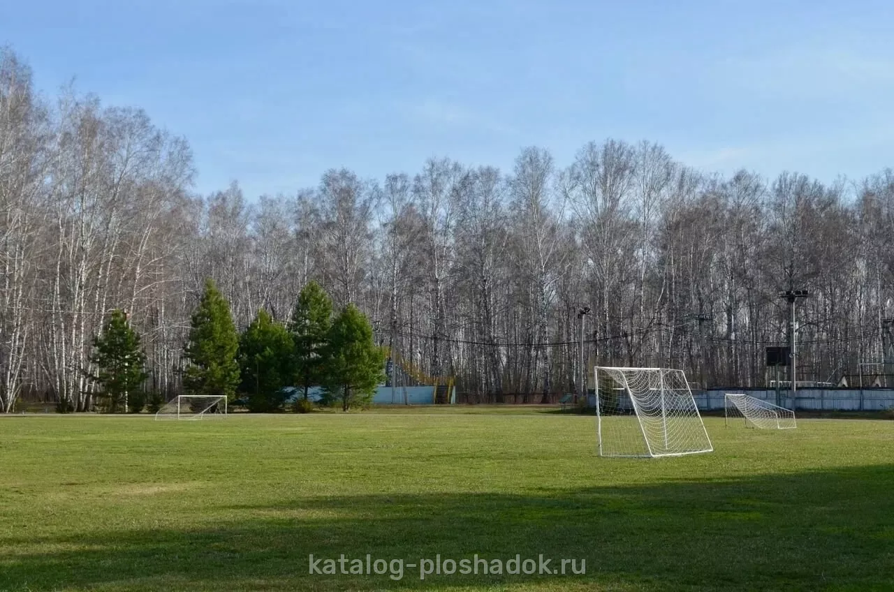 База отдыха «Альпийская деревня», загородная площадка, Омск
