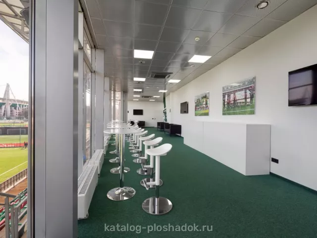 РЖД Арена — Панорамная ложа, лофт, Москва — фото 4