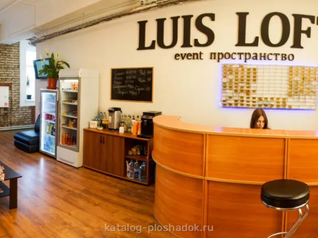 Luis Loft — Шредингер, зал, Москва — фото 4