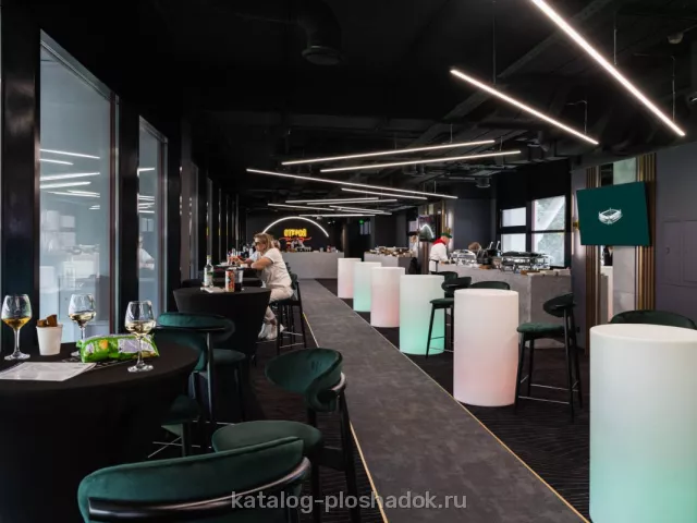 РЖД Арена — Панорамный лаундж на стадионе, спортивная площадка, Москва — фото 2
