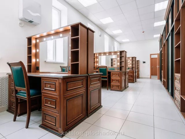 ГБУ г. Москвы «ОКЦ ЮАО», конференц-зал, Москва — фото 6