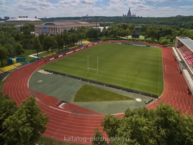 Спорткомплекс «Лужники», спортивная площадка, Москва