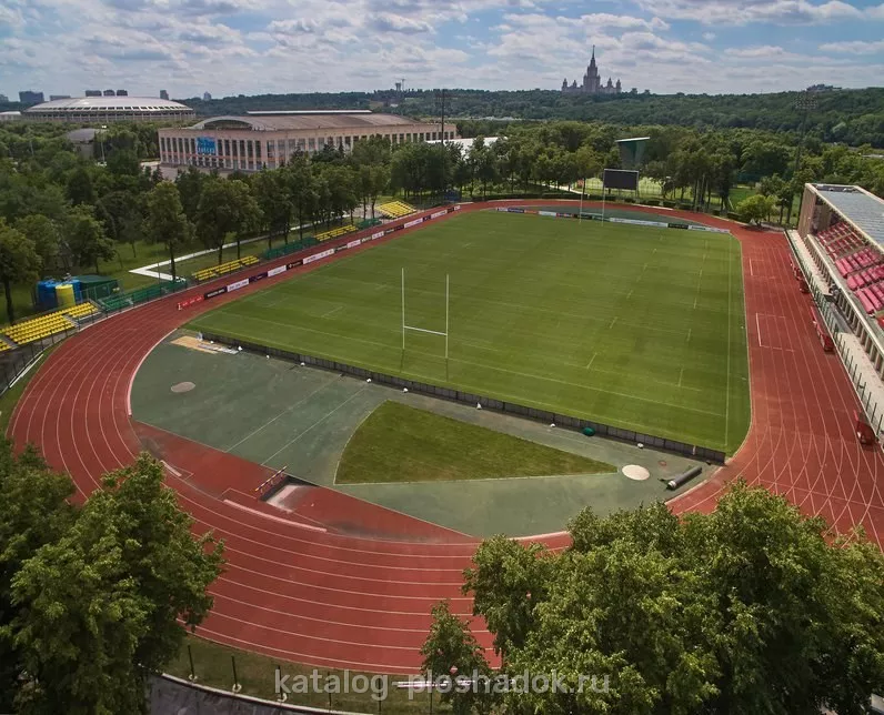 Спорткомплекс «Лужники», спортивная площадка, Москва