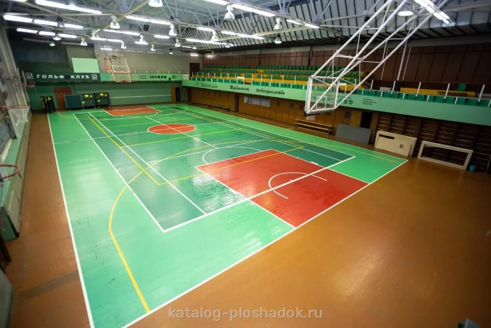 Дом отдыха «Колонтаево», спортивная площадка, Москва