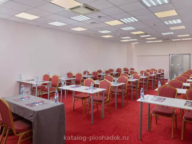 Вега Измайлово — Зал «Пион», зал в отеле, Москва — фото 3