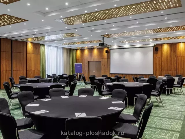 Cosmos Selection Москва Шереметьево Аэропорт (бывший Sheraton Шереметьево) — Конференц-зал «Москва», Москва — фото 6