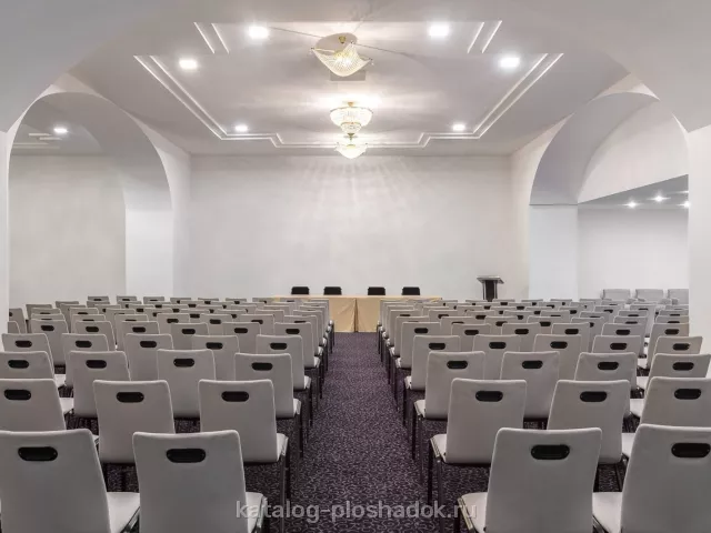 Отель «Метрополь» — Зал «Чацкий», зал в отеле, Москва — фото 3